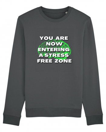 YOU ARE NOW ENTERING A STRESS FREE ZONE Anthracite