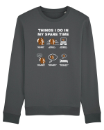 SQUIRREL Bluză mânecă lungă Unisex Rise