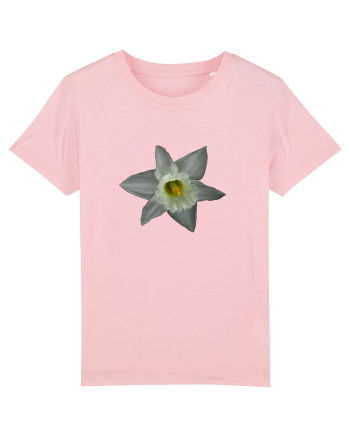 Narcisa alba Cotton Pink