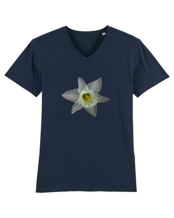 Narcisa alba French Navy
