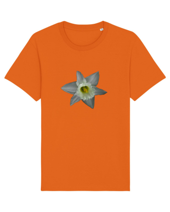 Narcisa alba Bright Orange