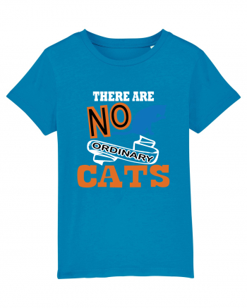 There Are No Ordinary Cats Azur