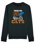 There Are No Ordinary Cats Bluză mânecă lungă Unisex Rise