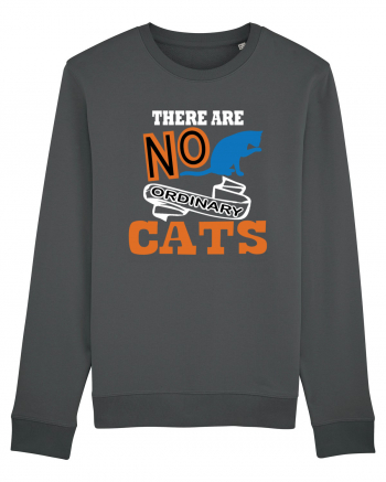 There Are No Ordinary Cats Anthracite