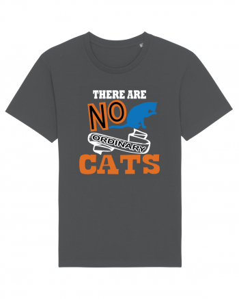 There Are No Ordinary Cats Anthracite