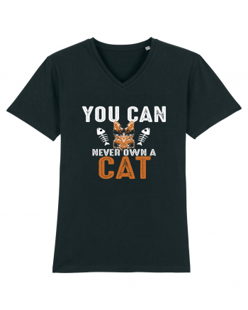 You Can Never Own A Cat Black