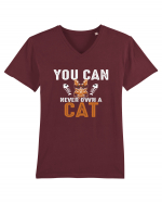 You Can Never Own A Cat Tricou mânecă scurtă guler V Bărbat Presenter