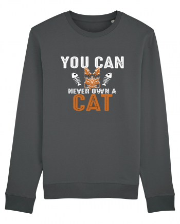 You Can Never Own A Cat Anthracite