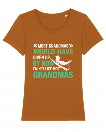 Most Grandmas World Have Given Up By Now I'm Not Like Most Grandmas Roasted Orange