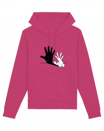 Creative Rabbit Raspberry