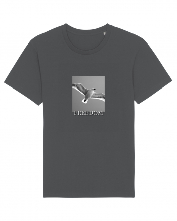 FREEDOM Anthracite