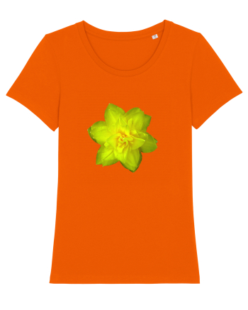 Narcisa galbena Bright Orange