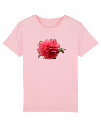 Dalia rosie Cotton Pink