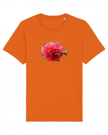 Dalia rosie Bright Orange