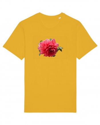 Dalia rosie Spectra Yellow