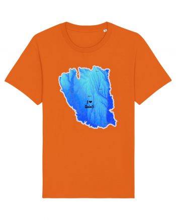 Galați County Map Bright Orange