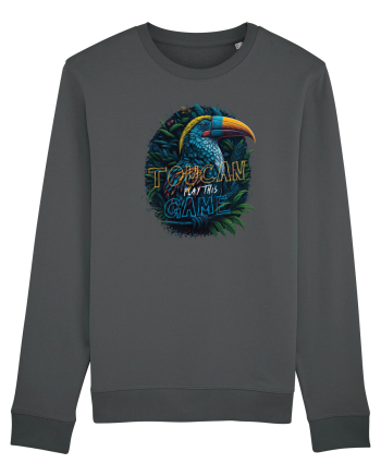 TOUCAN play this game Anthracite
