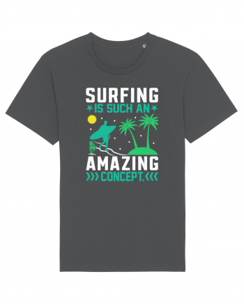 Surfing is such an amazing concept Anthracite