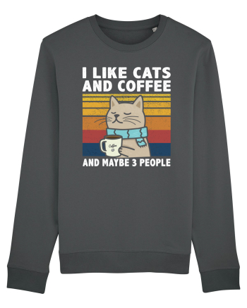 I Like Cats And Coffee And Maybe 3 People Anthracite