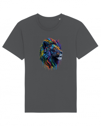 Rainbow Lion  Anthracite