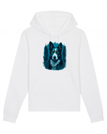 Border collie White