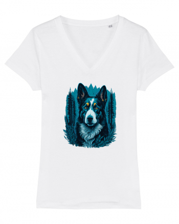 Border collie White