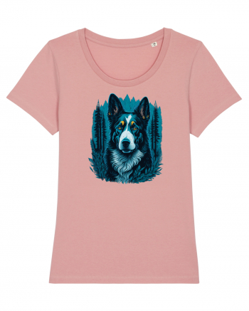 Border collie Canyon Pink