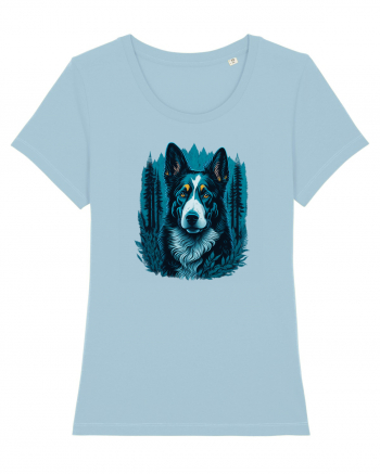 Border collie Sky Blue