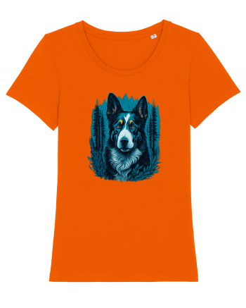 Border collie Bright Orange