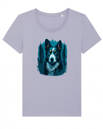 Border collie Lavender