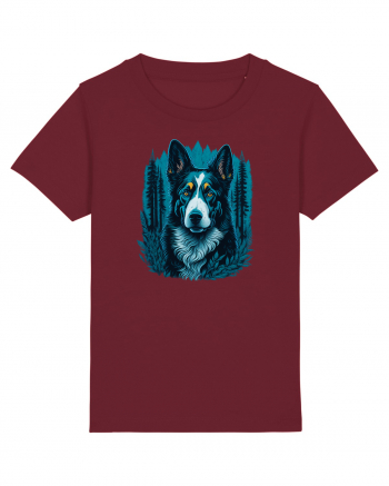 Border collie Burgundy