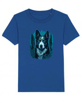 Border collie Majorelle Blue