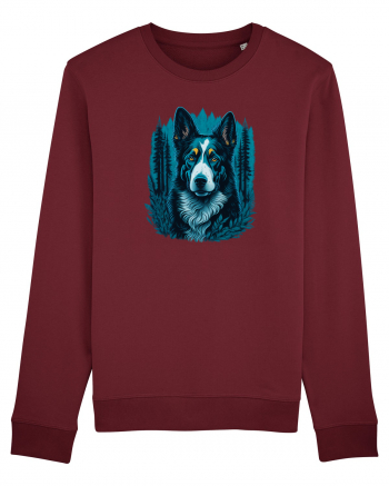 Border collie Burgundy