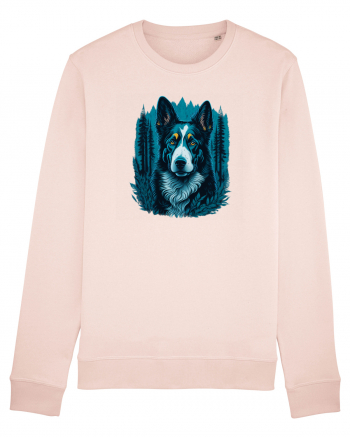 Border collie Candy Pink