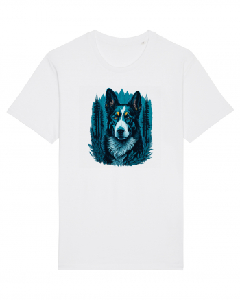 Border collie White