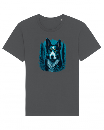 Border collie Anthracite