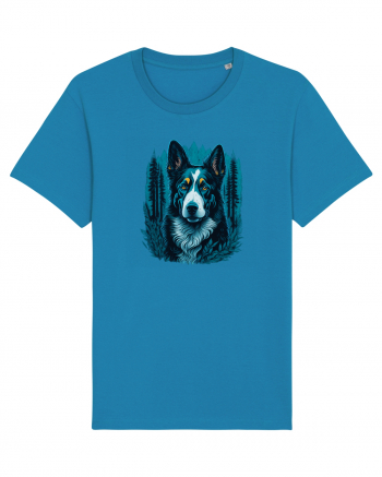 Border collie Azur