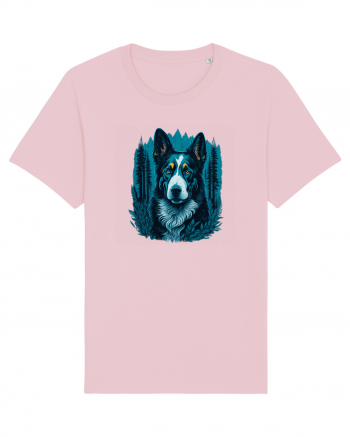 Border collie Cotton Pink