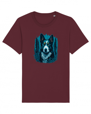 Border collie Burgundy