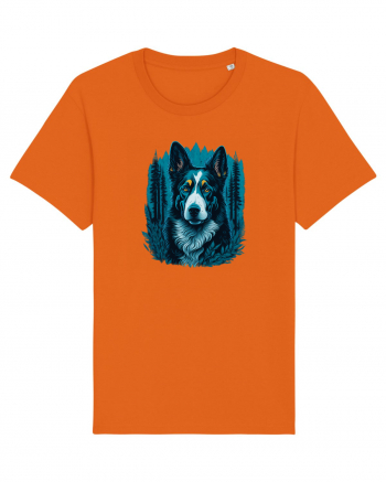 Border collie Bright Orange