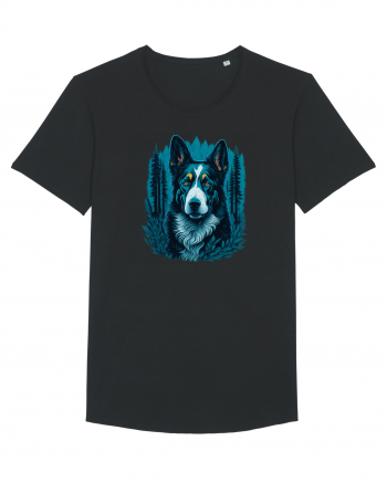 Border collie Black