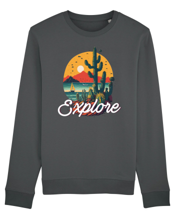 Explore - plaja cu cactusi si apus de soare Anthracite