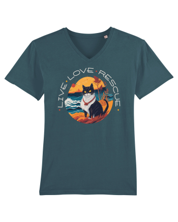 Live Love Rescue Cat 1 Stargazer