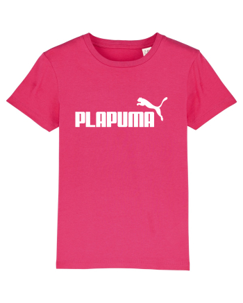 PLAPUMA Raspberry