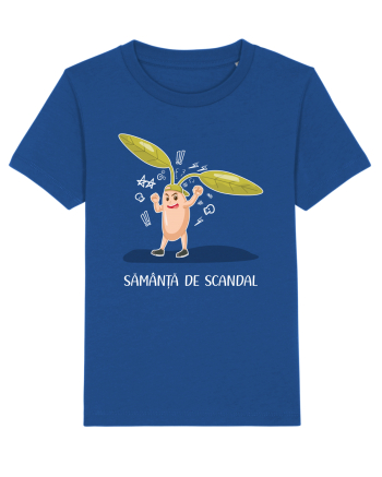 Sămânță de scandal Majorelle Blue