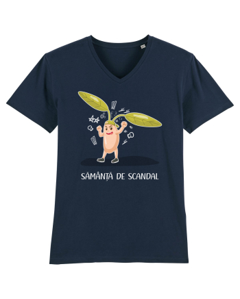 Sămânță de scandal French Navy