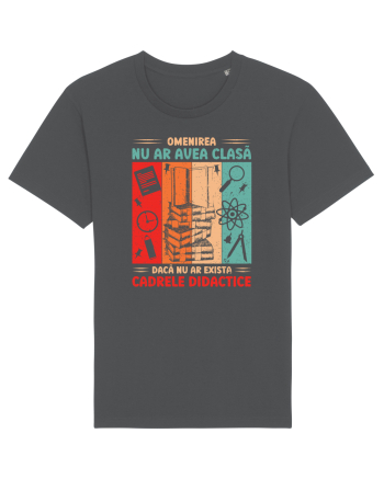 Dacă nu ar exista cadrele didactice - v2 - grunge Anthracite