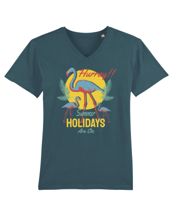 Hurray! Summer Holidays are On Stargazer