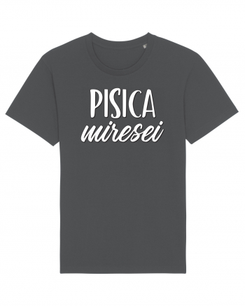 Tricou poze nunta - pisica miresei Anthracite