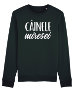 Tricou poze nunta - cainele miresei Bluză mânecă lungă Unisex Rise